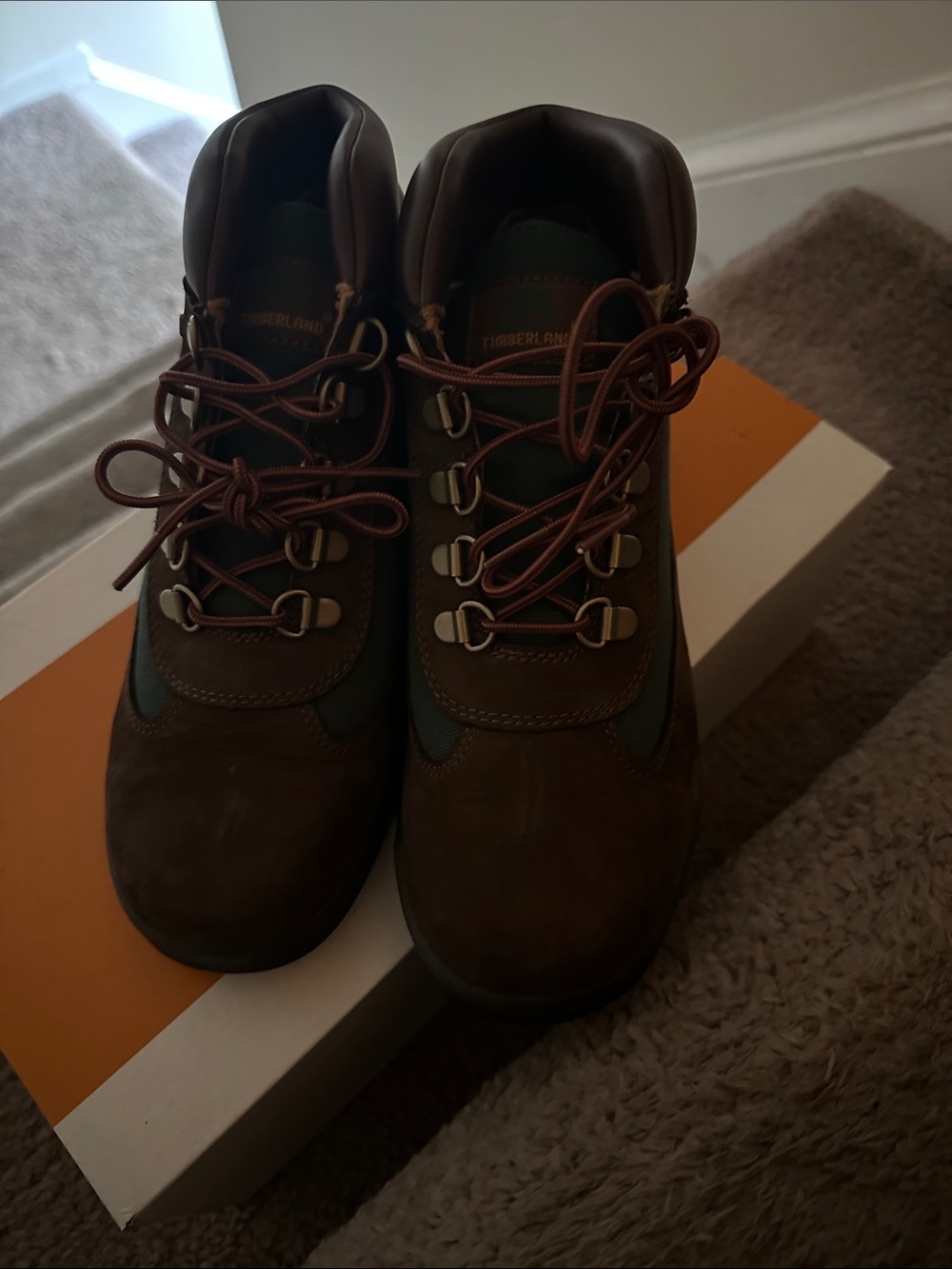 Timberland Brown Leather Lace-Up Hiking Boots for Men Beef & Broccoli’s